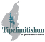 Tipelimitishun